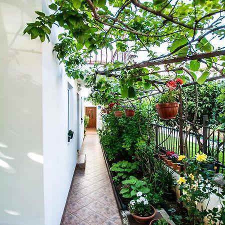 Apartments Lea Porec Bagian luar foto