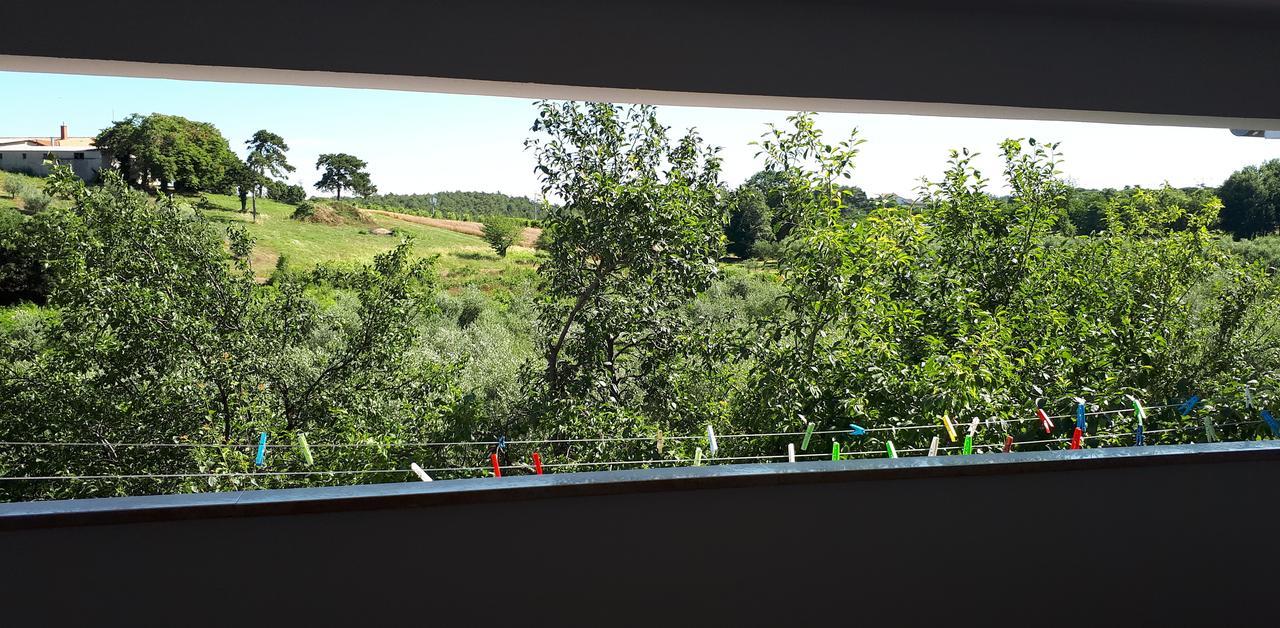 Apartments Lea Porec Bagian luar foto